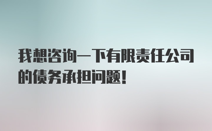 我想咨询一下有限责任公司的债务承担问题！