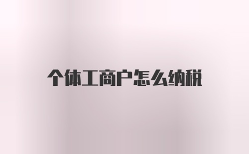 个体工商户怎么纳税