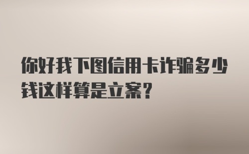 你好我下图信用卡诈骗多少钱这样算是立案？