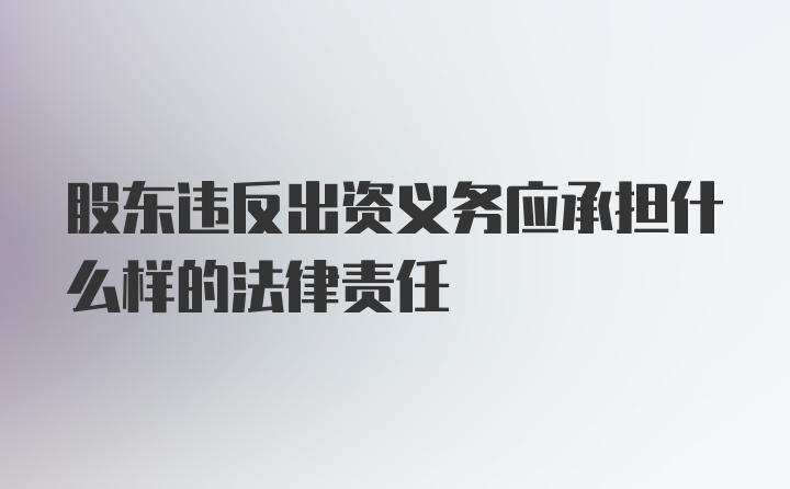 股东违反出资义务应承担什么样的法律责任