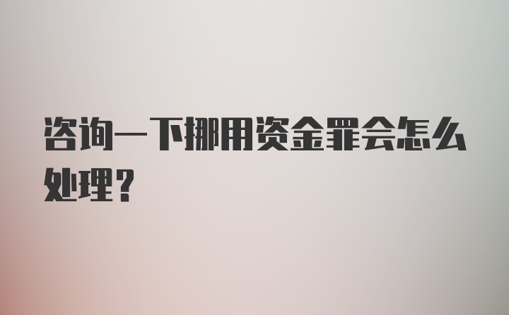 咨询一下挪用资金罪会怎么处理？