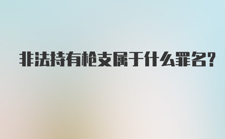 非法持有枪支属于什么罪名？