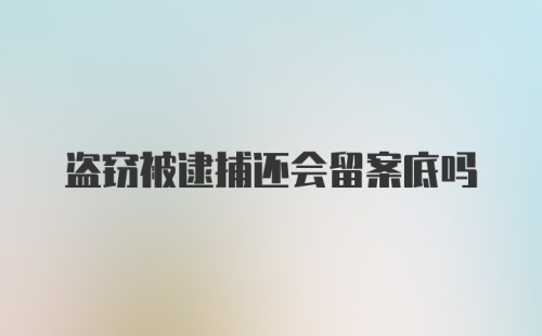 盗窃被逮捕还会留案底吗