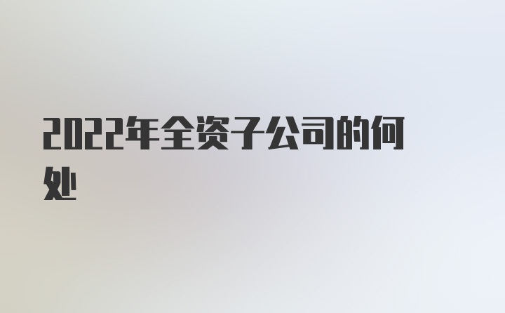 2022年全资子公司的何处