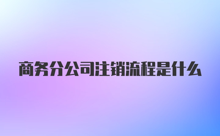 商务分公司注销流程是什么