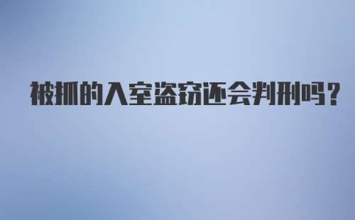 被抓的入室盗窃还会判刑吗？