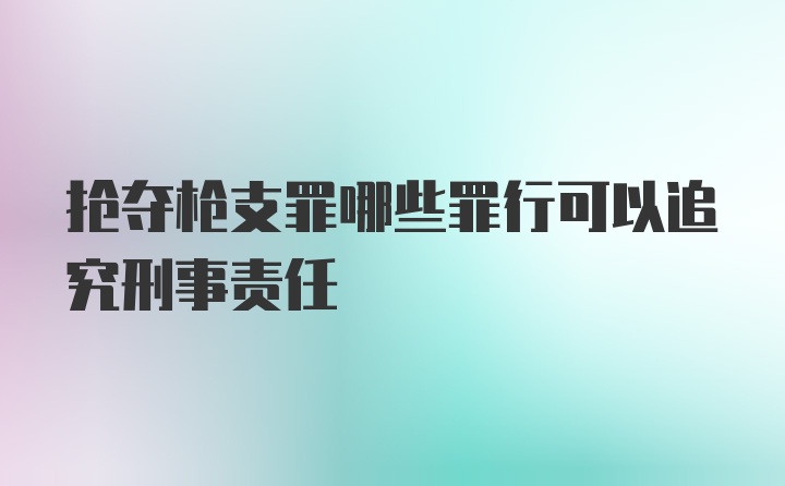 抢夺枪支罪哪些罪行可以追究刑事责任