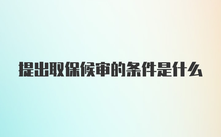 提出取保候审的条件是什么