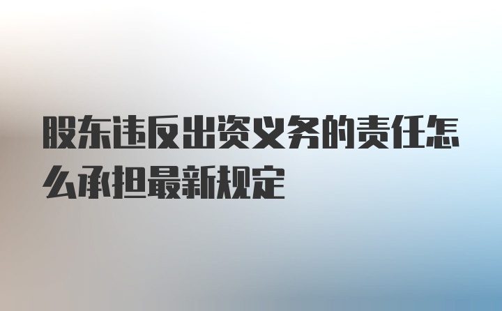 股东违反出资义务的责任怎么承担最新规定