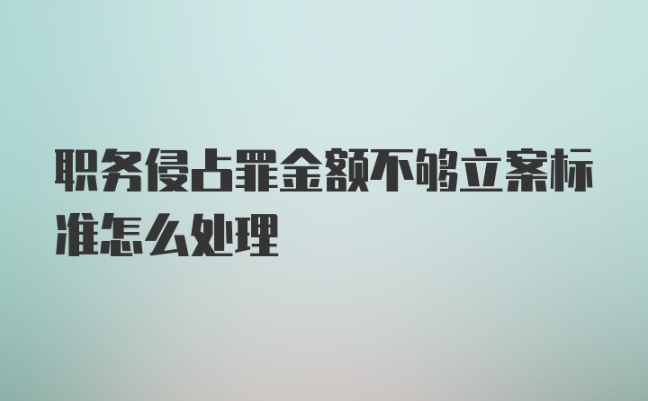 职务侵占罪金额不够立案标准怎么处理