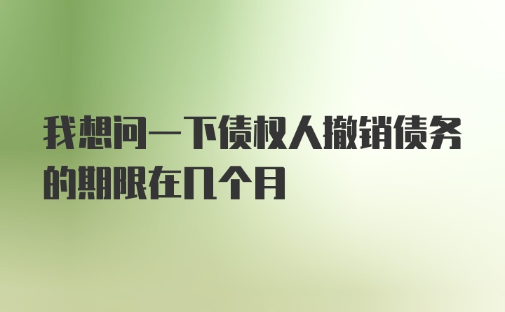 我想问一下债权人撤销债务的期限在几个月