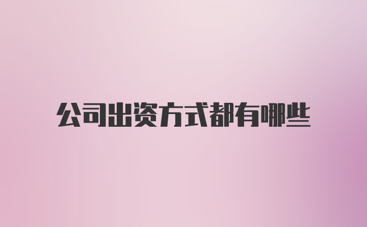 公司出资方式都有哪些