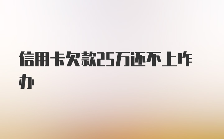 信用卡欠款25万还不上咋办