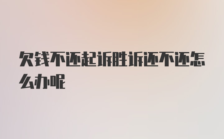 欠钱不还起诉胜诉还不还怎么办呢