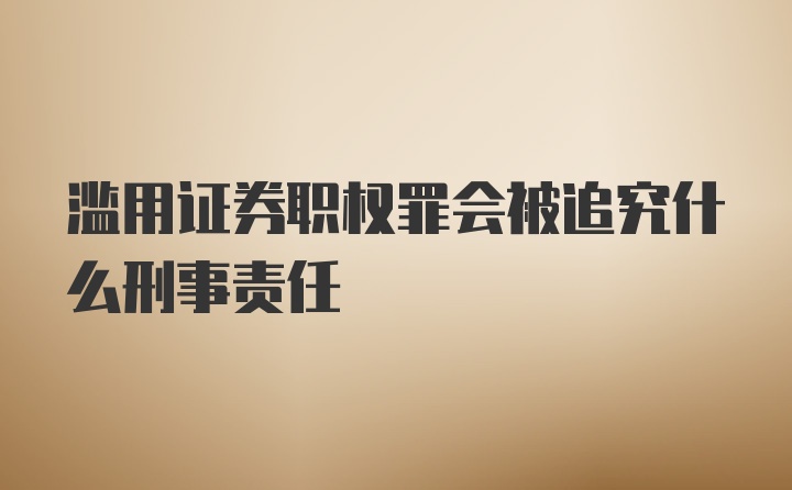 滥用证券职权罪会被追究什么刑事责任