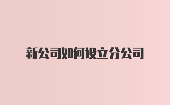 新公司如何设立分公司