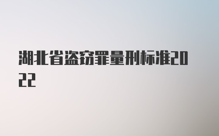 湖北省盗窃罪量刑标准2022