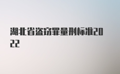 湖北省盗窃罪量刑标准2022