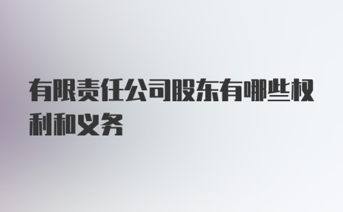 有限责任公司股东有哪些权利和义务