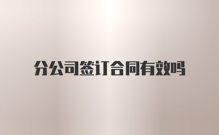 分公司签订合同有效吗