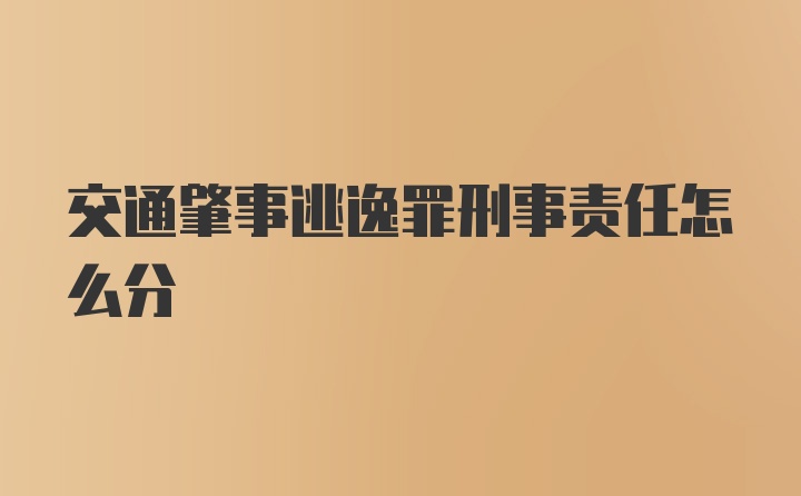 交通肇事逃逸罪刑事责任怎么分