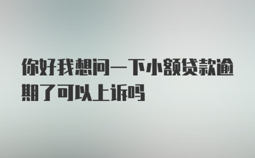 你好我想问一下小额贷款逾期了可以上诉吗