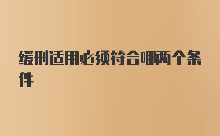 缓刑适用必须符合哪两个条件