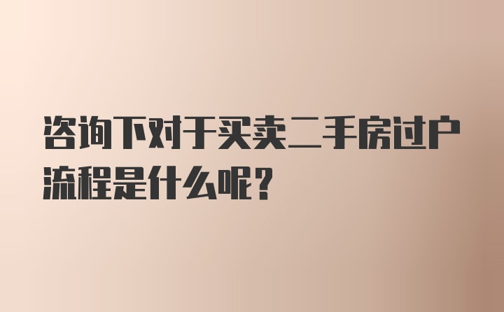 咨询下对于买卖二手房过户流程是什么呢？