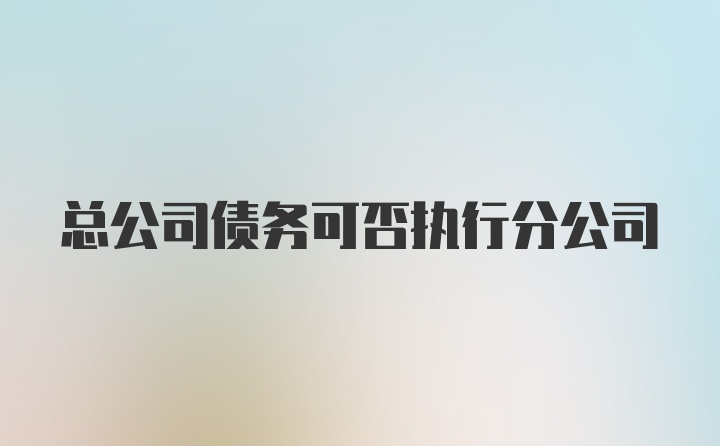 总公司债务可否执行分公司