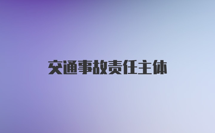 交通事故责任主体