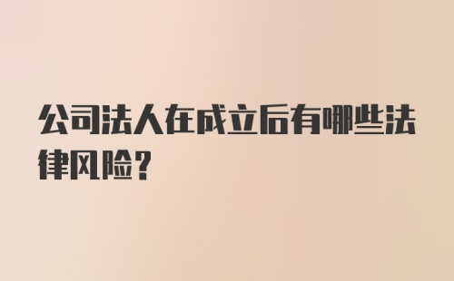 公司法人在成立后有哪些法律风险？