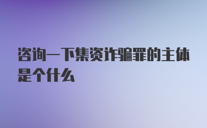 咨询一下集资诈骗罪的主体是个什么