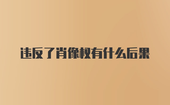 违反了肖像权有什么后果