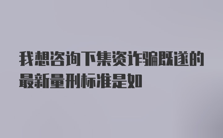 我想咨询下集资诈骗既遂的最新量刑标准是如