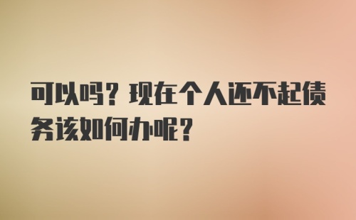 可以吗？现在个人还不起债务该如何办呢？