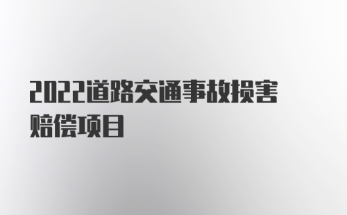 2022道路交通事故损害赔偿项目