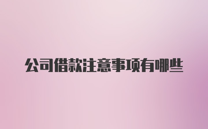 公司借款注意事项有哪些