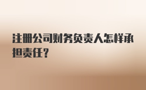 注册公司财务负责人怎样承担责任？