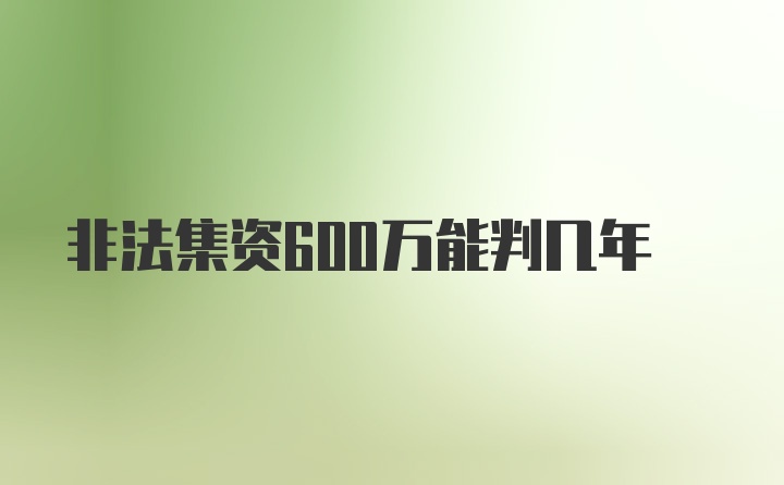 非法集资600万能判几年