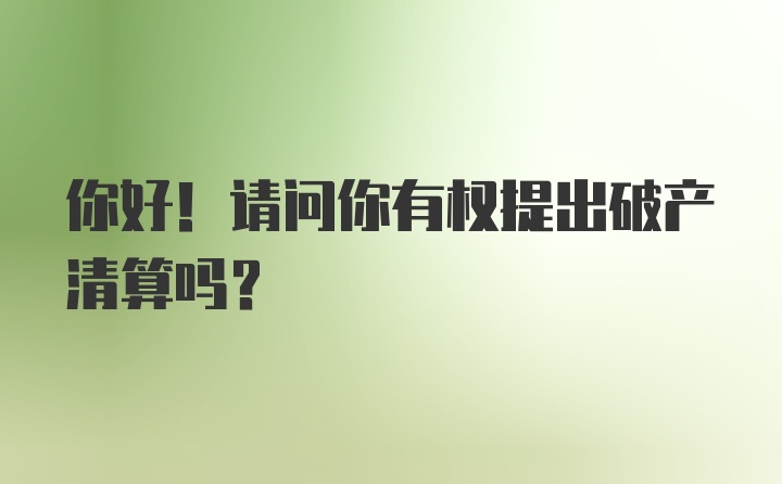 你好！请问你有权提出破产清算吗？