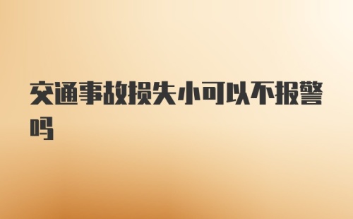 交通事故损失小可以不报警吗