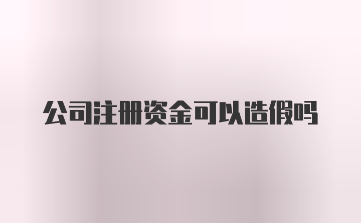 公司注册资金可以造假吗