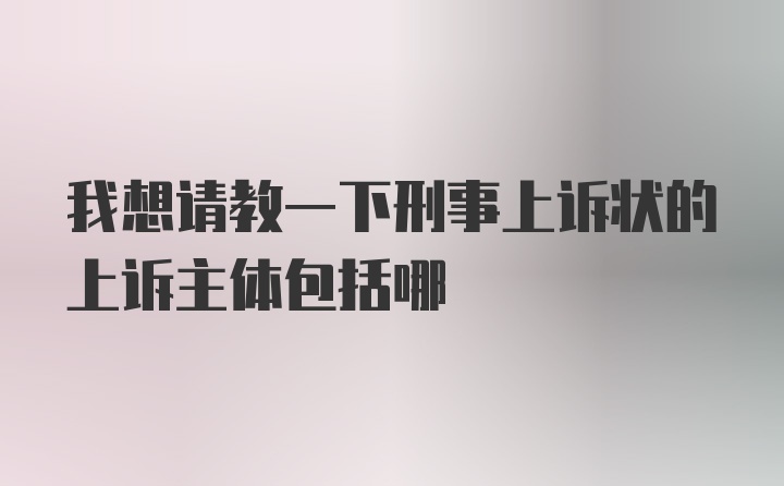 我想请教一下刑事上诉状的上诉主体包括哪