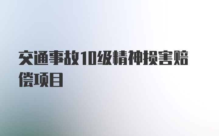 交通事故10级精神损害赔偿项目