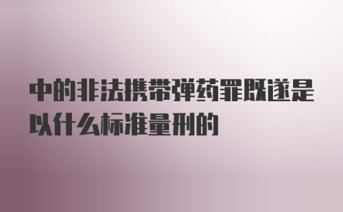 中的非法携带弹药罪既遂是以什么标准量刑的