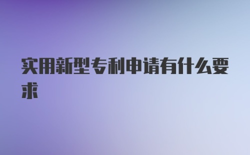 实用新型专利申请有什么要求