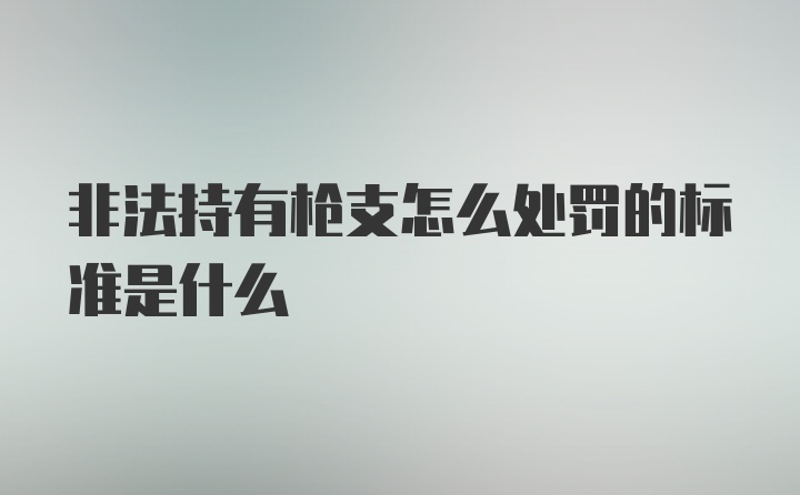 非法持有枪支怎么处罚的标准是什么