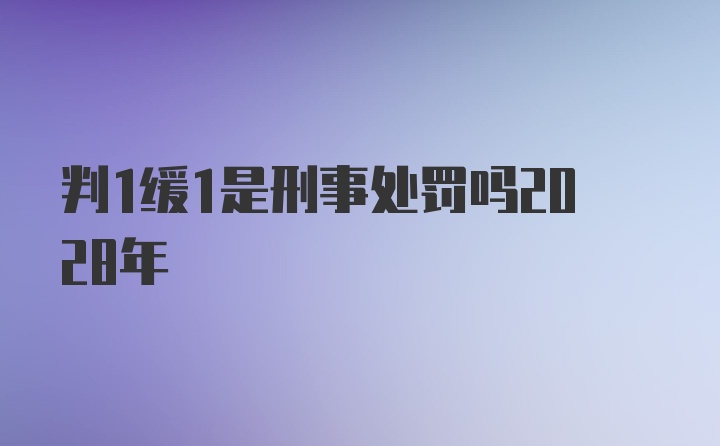 判1缓1是刑事处罚吗2028年