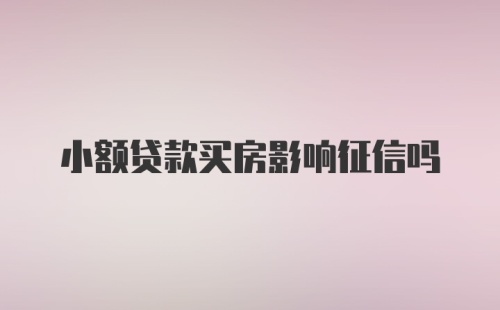 小额贷款买房影响征信吗