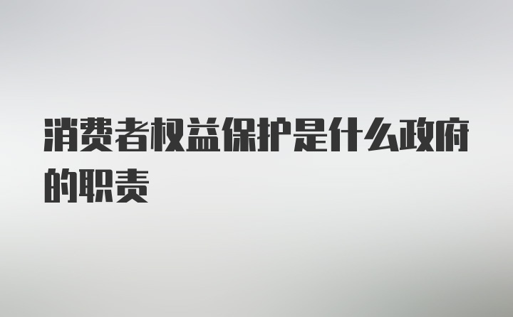 消费者权益保护是什么政府的职责